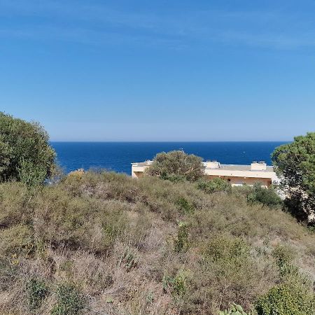 Appartement Avec Terrasse, Wifi, Parking Prive, A 2Min De La Plage Des Elmes - Banyuls-Sur-Mer - Fr-1-309-130 Ngoại thất bức ảnh