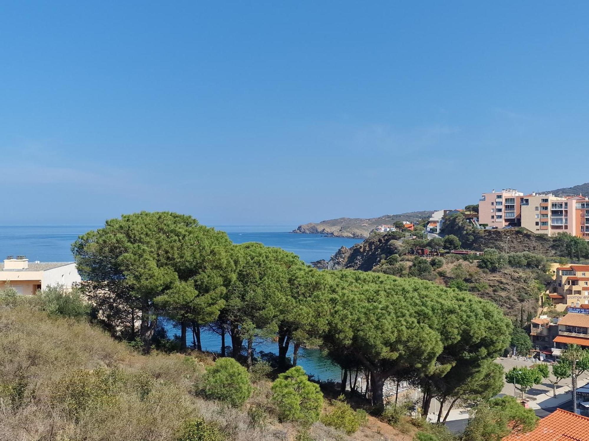 Appartement Avec Terrasse, Wifi, Parking Prive, A 2Min De La Plage Des Elmes - Banyuls-Sur-Mer - Fr-1-309-130 Ngoại thất bức ảnh
